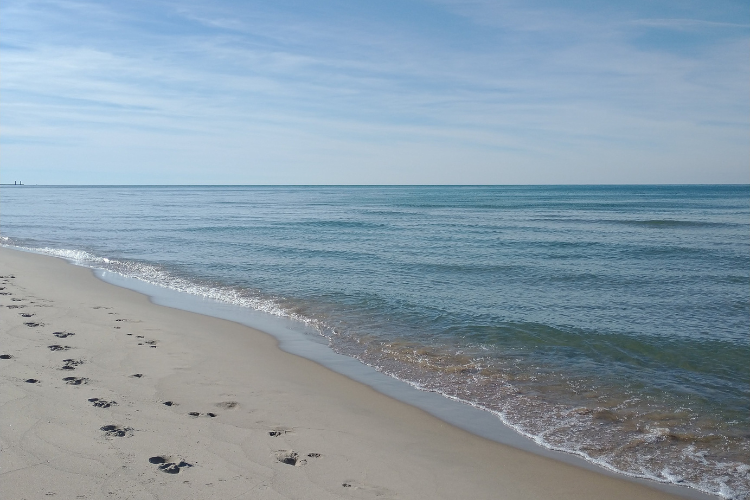 Lake Michigan Hikes - PJ Hoffmaster State Park