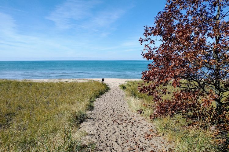 Lake Michigan Hikes - Saugatuck Dunes State Park